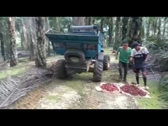 WEA08 TRAKTOR MINYAK SAWIT