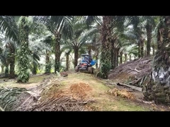 Kemudi Artikulasi Traktor Pertanian Mini Hijau Dengan Mesin Ikan Emas