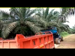 Penggerak 4 Roda Pertanian Traktor Dumper Perkebunan Kelapa Sawit 14HP