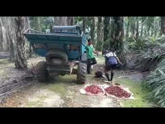 Mesin Panen Kelapa Sawit Open Cab 1325mm Berat 1250kg dengan Grapple