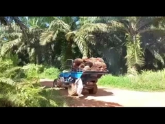 Sistem Hidraulik Mesin Traktor Minyak Sawit Untuk Ekstraksi Minyak Sawit yang Efisien