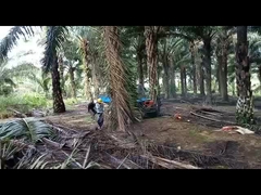 Traktor Kelapa Sawit Wheelbase 2150mm dengan Kapasitas Tangki Bahan Bakar Ban Pertanian 11L