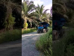 Traktor Kelapa Sawit 14HP Traktor Penggerak 4 Roda Untuk Kebun Kelapa Sawit