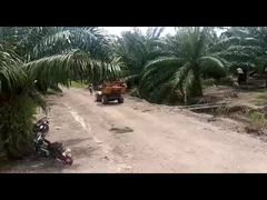 Mesin Pemanen Kelapa Sawit Multi Fungsional 2400rpm Dengan PTO