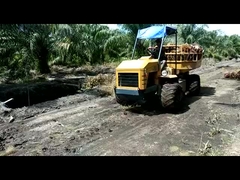 Traktor Pertanian Hidrolik Mini 14hp Mesin Traktor Daya Untuk Perkebunan Sawit